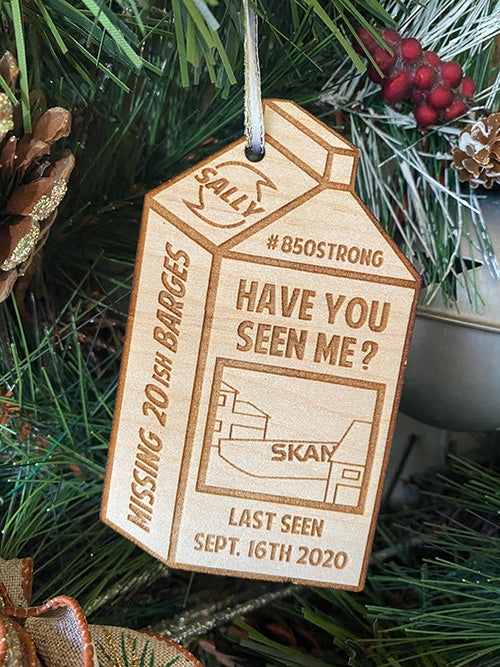 Have you seen me? 2020 Ornament