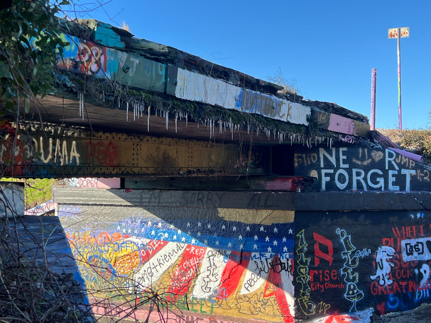 Icicles in Florida hanging from the graffiti bridge