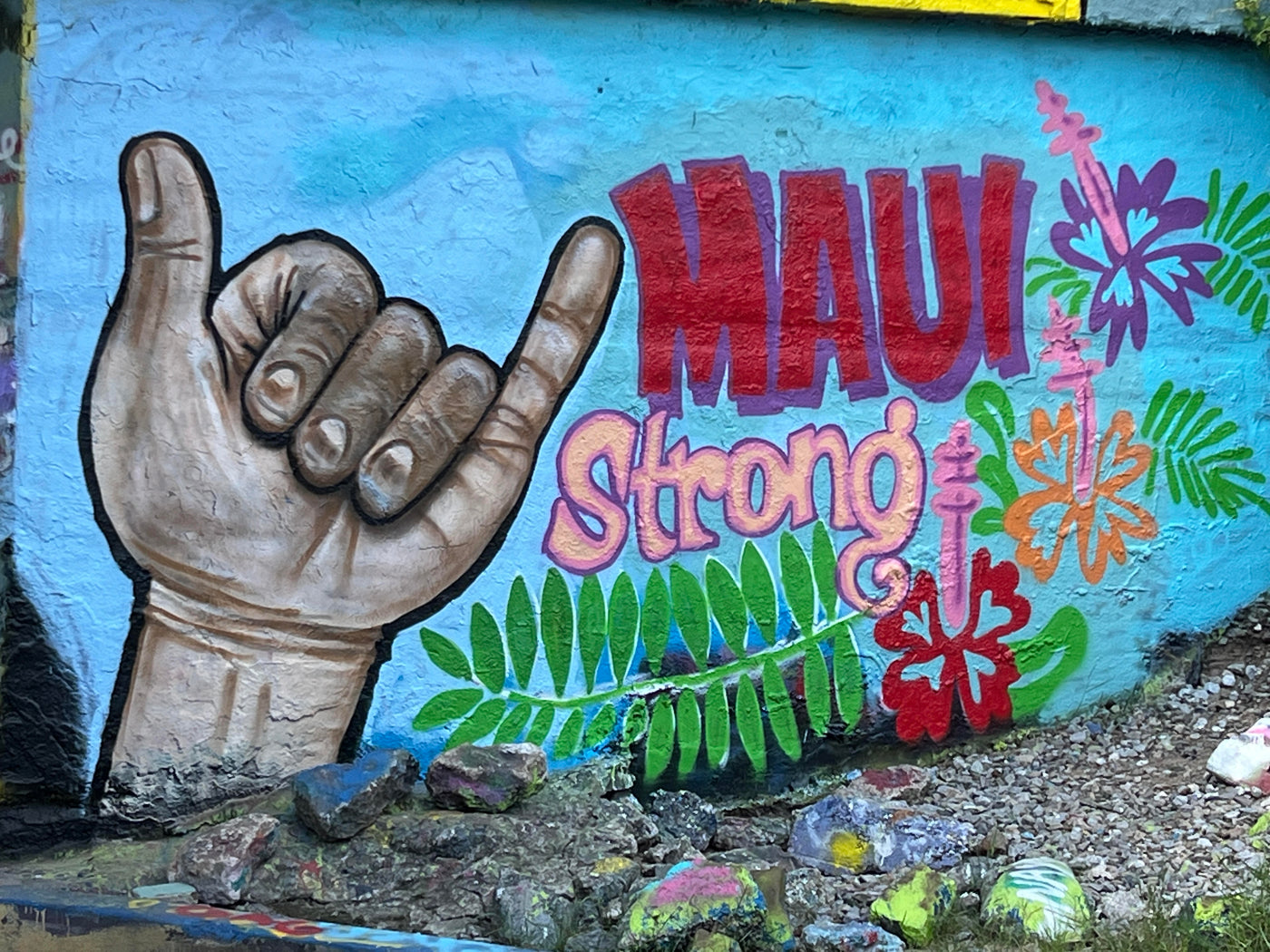 From Pensacola with Love:  #MauiStrong